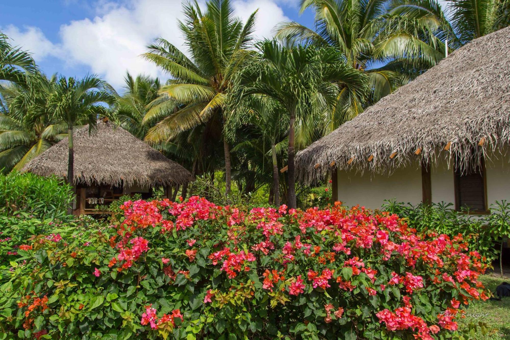 Etu Moana Boutique Beach Villas - Adults Only Arutanga Exterior foto